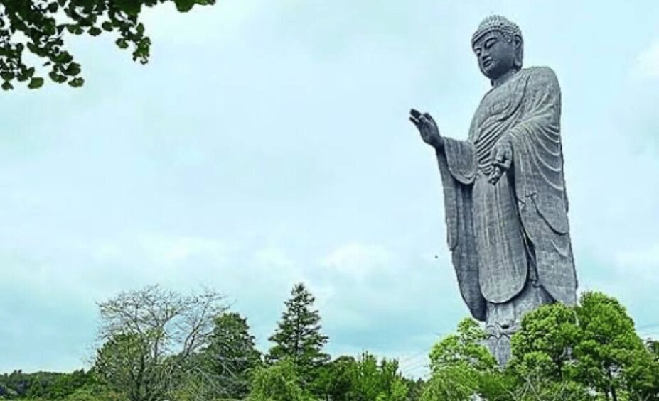 A large Buddha statue surrounded by trees. 4