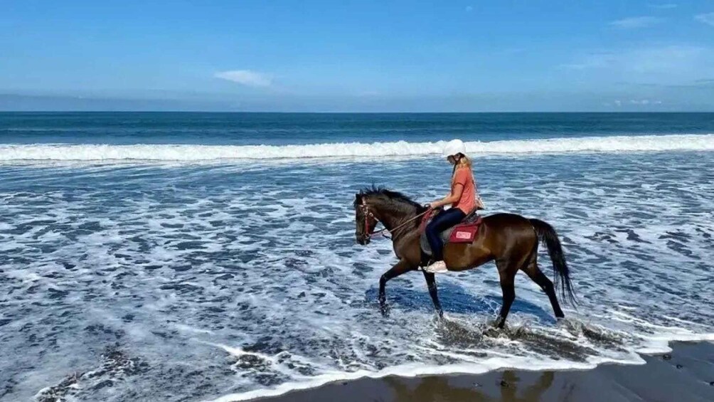A person riding a horse along a beach with waves. 3