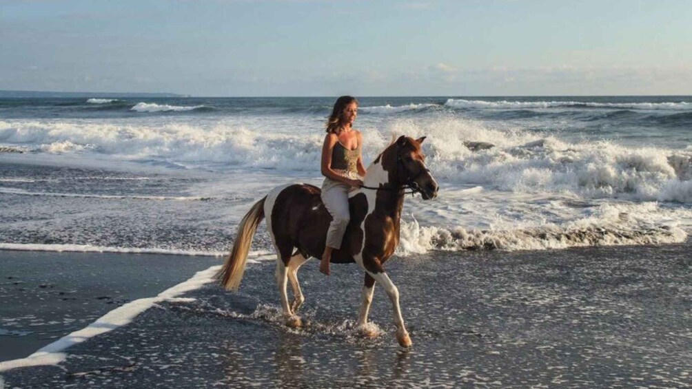 A person riding a horse along a beach with waves in the background. 1