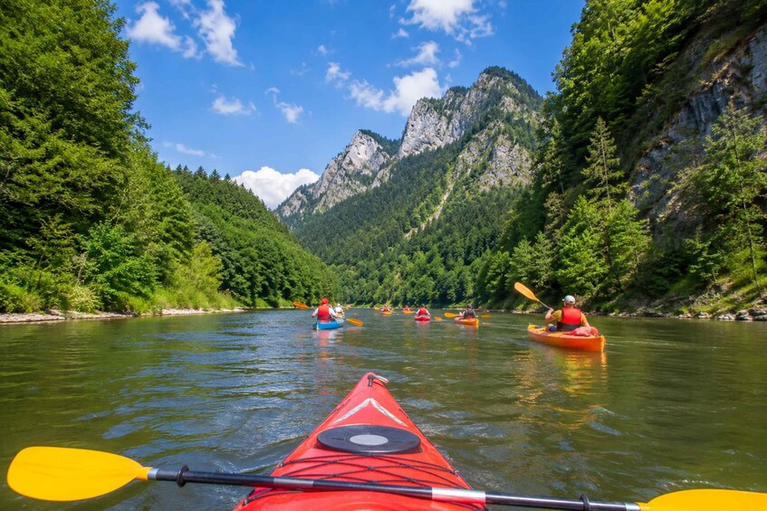 A river with kayakers, surrounded by forested mountains. 3