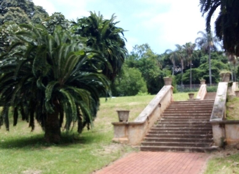 A stone staircase leading up to a building, surrounded by lush greenery and palm trees. 2