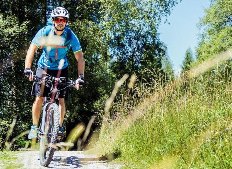 A person riding a mountain bike on a dirt trail surrounded by greenery. 4