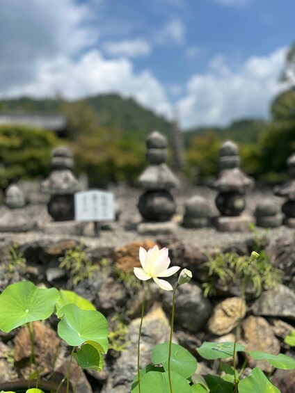Picture 21 for Activity Kyoto: Private Full-Day Highlights Tour Guide & Vehicle 5