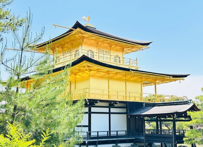 A traditional Japanese pagoda with a golden roof, surrounded by lush greenery. 5