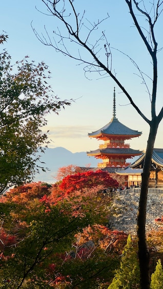 Picture 3 for Activity Kyoto: Private Customizable Day Tour English Guide & Vehicle 1