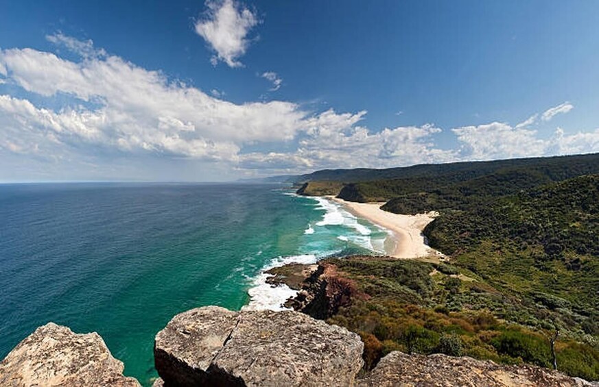 A coastal landscape with a beach, ocean, and surrounding greenery. 3