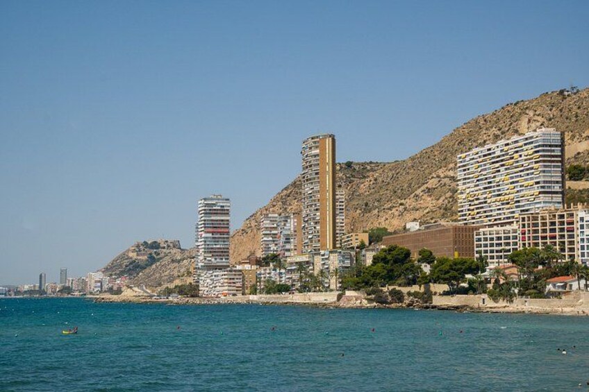Tour Traditional Market of Benidorm Local Experience 3