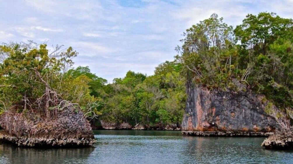 A calm river with rocky outcrops and dense greenery. 4