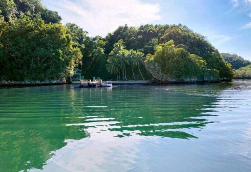 A calm river with a boat docked on the shore, surrounded by dense tropical foliage. 1