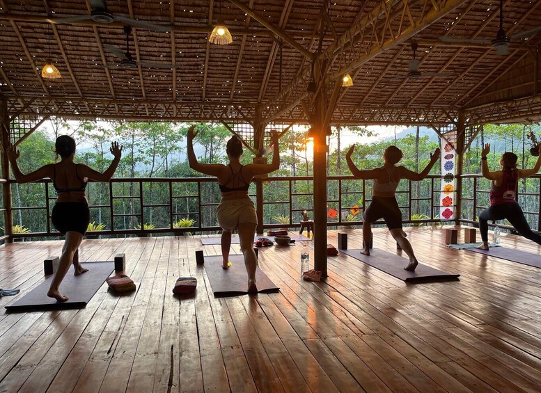 A yoga class in a wooden-roofed room with a view of a forest. 5