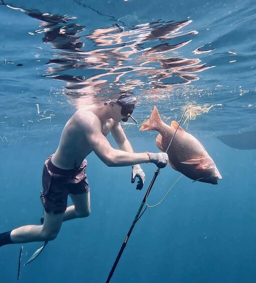 Lombok: Gili Kedis Camping, Spearfishing, BBQ & Bonfire 1
