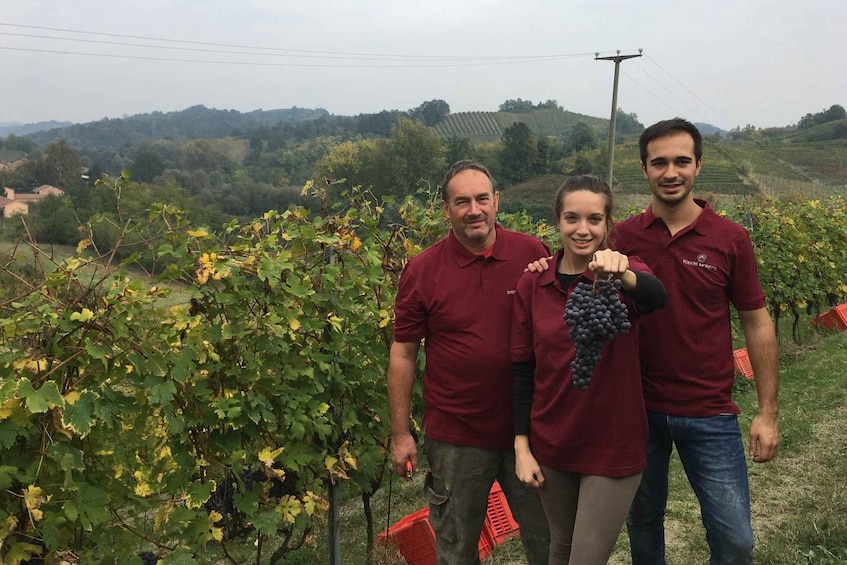 Three people in a vineyard with rows of grapevines and hills in the background. 3