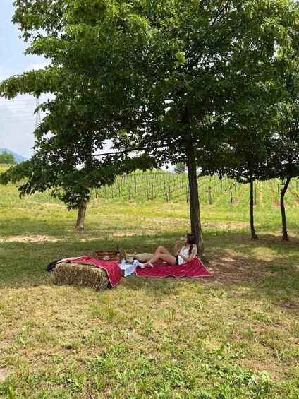A person relaxing on a blanket under a tree in a grassy field with a vineyard in the background. 3
