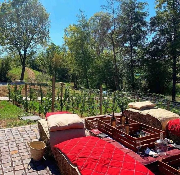 A rustic outdoor seating area with red bedding and a table set for dining, surrounded by a vineyard and trees. 4