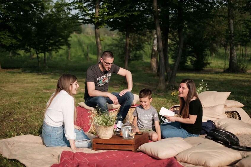 A group of people sitting on a blanket in a grassy field with trees in the background. 5