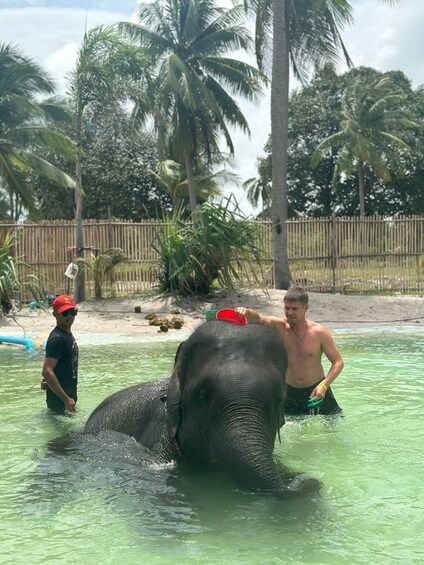 En elefant i ett vattendrag, omgiven av människor. 4