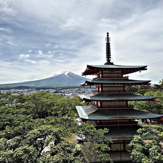 A pagoda with a mountain in the background. 5