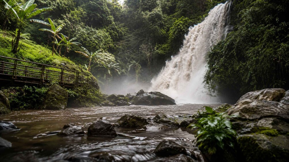 A waterfall, a bridge, and lush greenery. 1