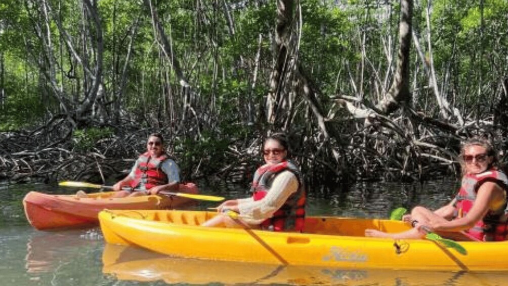 Two people in a yellow canoe on a river surrounded by mangrove trees. 3