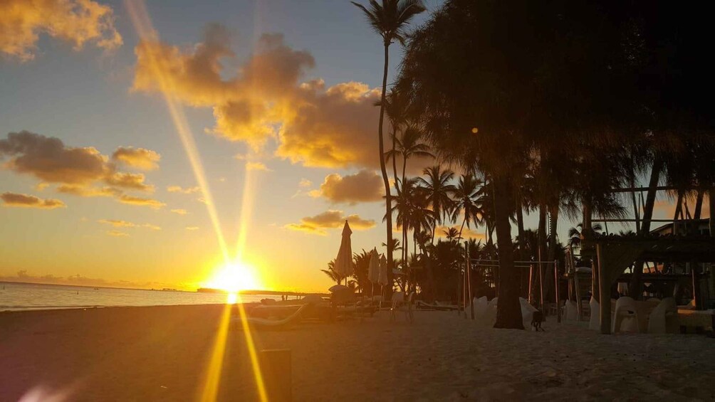 A beach at sunset with palm trees and beach umbrellas. 2