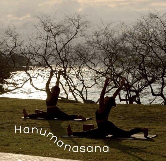 Two people practicing yoga on grass near a body of water with trees in the background. 4