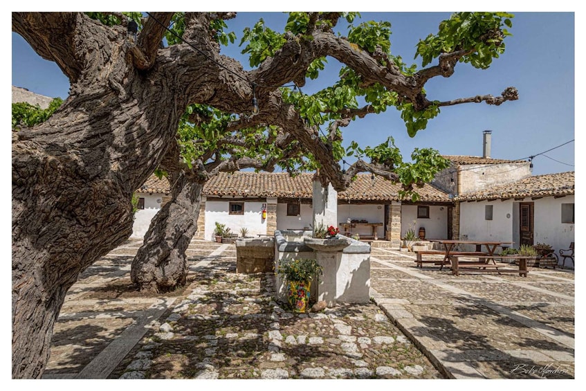 A rustic courtyard with a large tree, white buildings with tiled roofs, and a wooden bench. 3