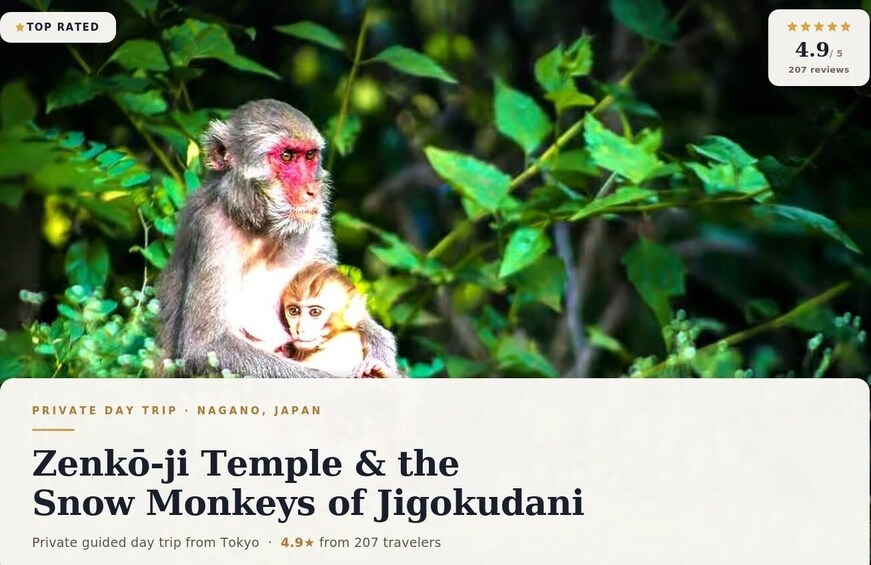 Tokyo: Nagano Snow Monkey Park & Zenko-ji Day Trip 1