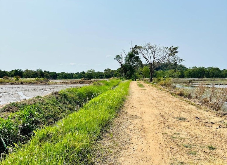 A dirt path leading through a rural landscape with fields and trees. 3
