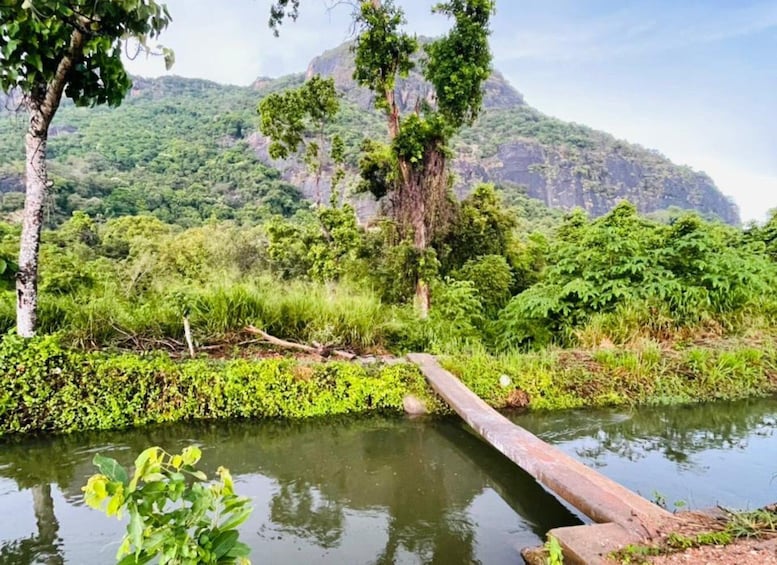 A river with a wooden bridge, lush greenery, and a mountain in the background. 5