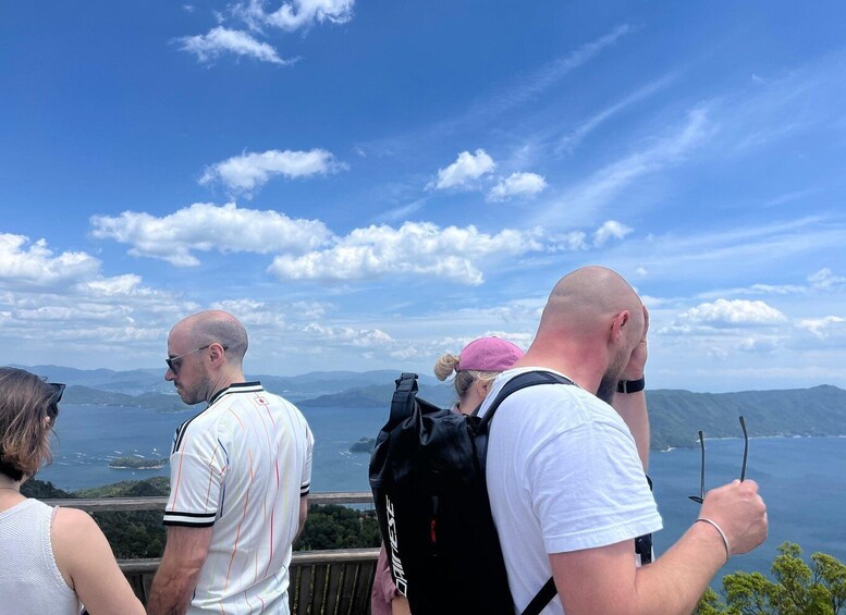 A group of people overlooking a scenic view of a body of water and distant mountains. 2