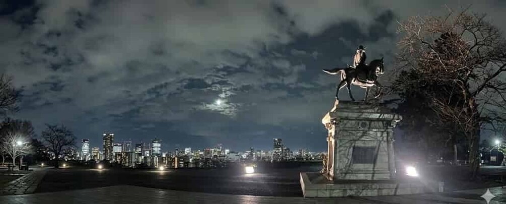 A statue of a figure on horseback in a park at night with city lights in the background. 5
