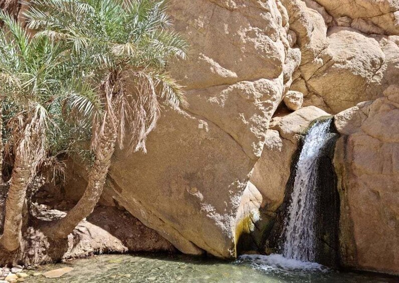 A waterfall cascading down a rocky cliff, surrounded by palm trees. 1