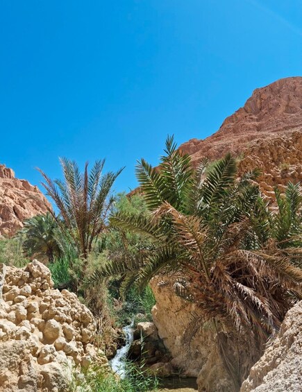 A desert landscape with a small stream, palm trees, and rocky terrain. 5