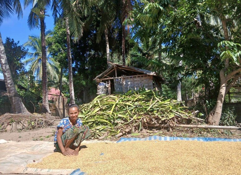 A person seated on the ground surrounded by scattered grains, with a pile of cut palm fronds and a small structure in the background. 5