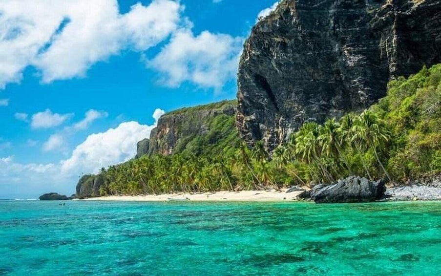 Una playa tropical con agua turquesa cristalina, un acantilado rocoso y palmeras. 1