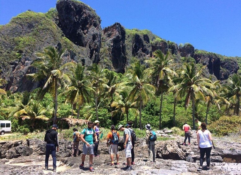 Un grupo de excursionistas en un sendero rocoso con palmeras y montañas al fondo. 4