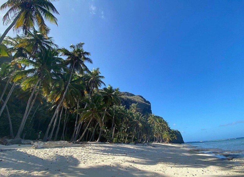 Una playa arenosa con palmeras y un acantilado. 5