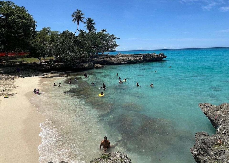A beach with clear turquoise water, people swimming and surfing, and palm trees. 4