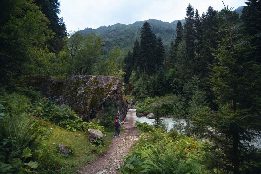A hiker on a forest trail with a river and mountains in the background. 3