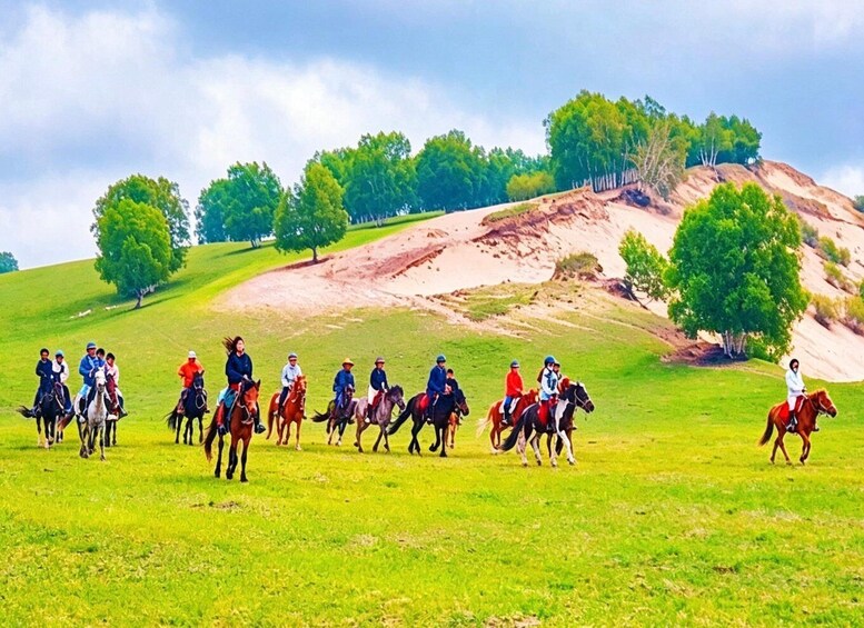 A group of riders on horses in a grassy field with trees and a hill in the background. 3