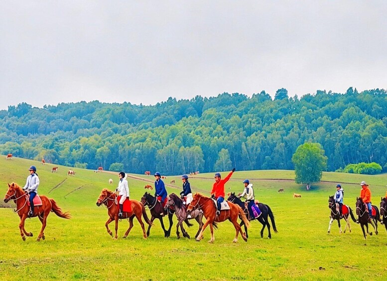 A group of riders on horses in a grassy field with a forested hill in the background. 5
