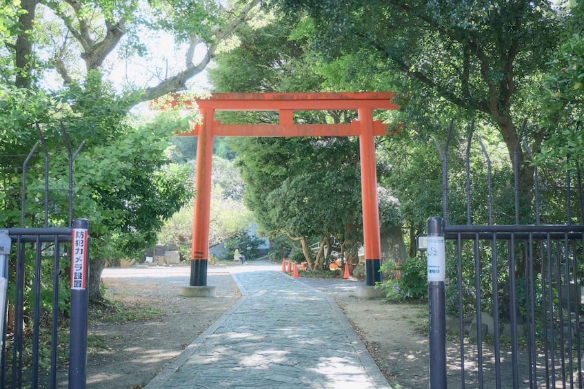 A stone pathway leading to an orange torii gate surrounded by trees. 3