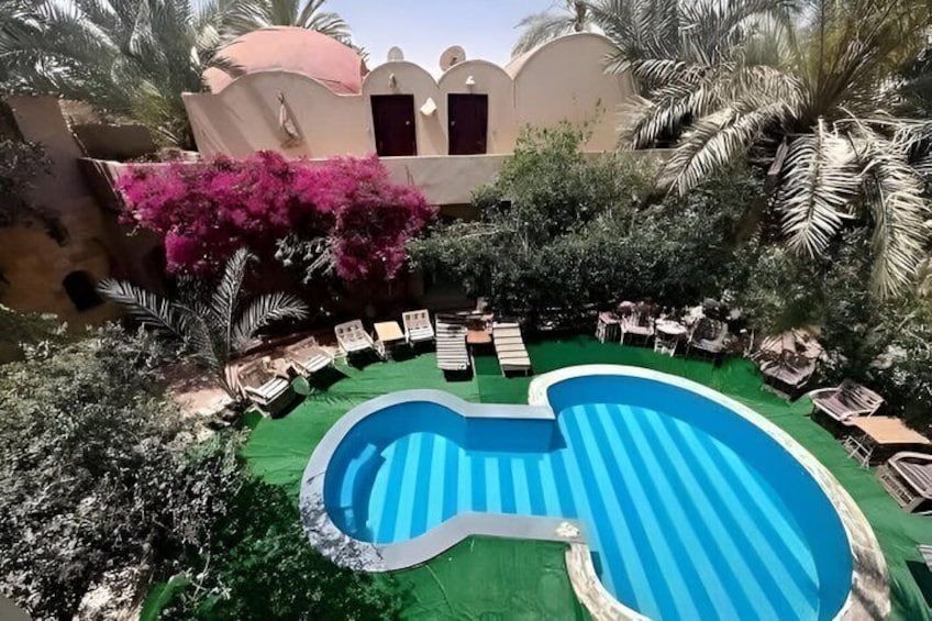 A swimming pool with a green deck, surrounded by palm trees and a pink flowering bush. 2