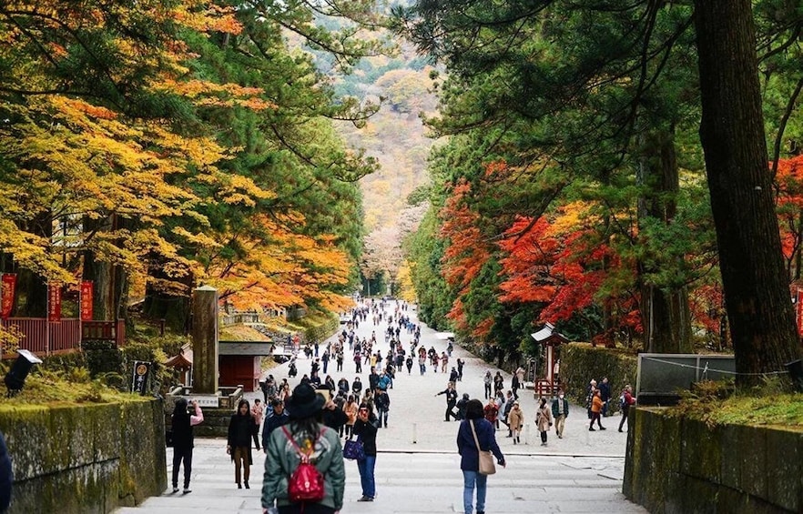 A pathway lined with trees displaying autumn foliage, leading to a traditional Japanese structure. 3