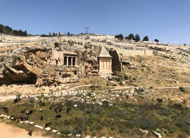 Ancient ruins with stone structures and a pathway. 3