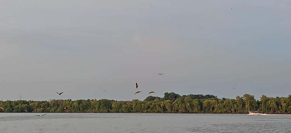 A body of water with birds flying, a distant shoreline with trees, and a small boat. 1