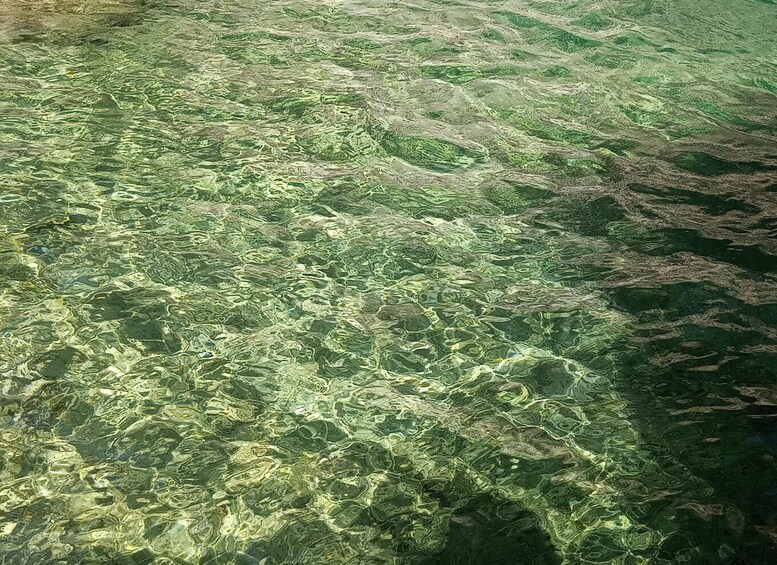 Clear water with visible underwater vegetation. 3