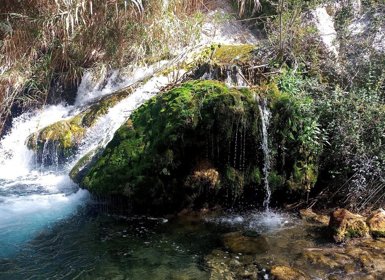 A waterfall cascading over moss-covered rocks into a clear pool, surrounded by dense vegetation. 2