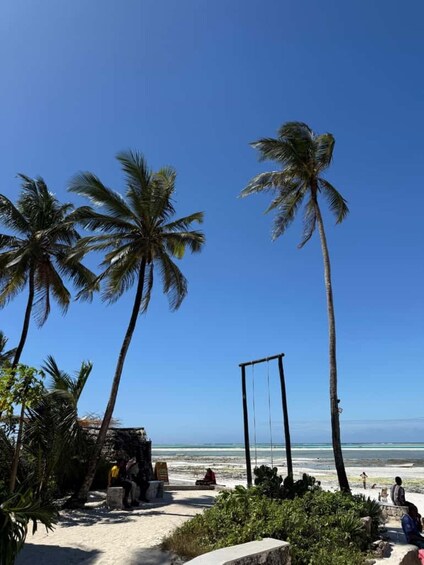 A beach with palm trees, a swing set, and people relaxing. 4