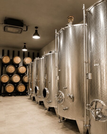 Stainless steel fermentation tanks lined up in a row, with wooden barrels on the left. 2